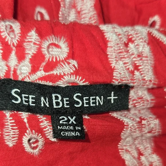 SEEN N BE SEEN 2X EMBROIDERED TIERED BLOUSE ROMANTIC WHIMSY FLORAL TOP SO GOOD!! - Picture 4 of 9